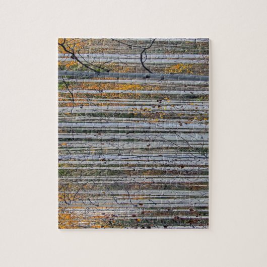 Witte berkenbomen boslandschap natuur legpuzzel (Verticaal)