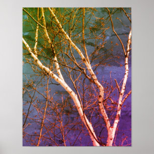 Witte berkenboom Blauwe lucht gestresst Abstract Poster