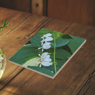 Witte Bloedend Hart Bloemstuk Tegeltje