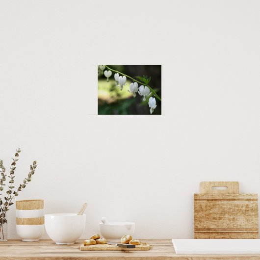 Witte bloeding Hartbloemen Poster (Keuken)