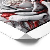 Witte bloedrode roos poster (Hoek)