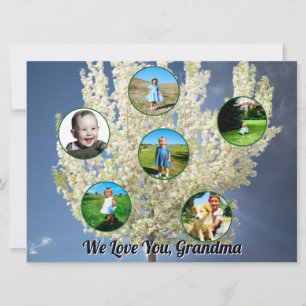 Witte Bloeiende Boom Zes Foto's Liefde Oma  Kaart