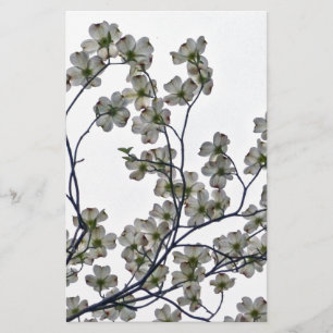 Witte Bloeiende Kornoelje Briefpapier