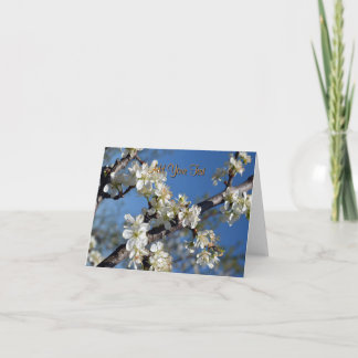 Witte bloeiende pruimenboomtak in de lente kaart