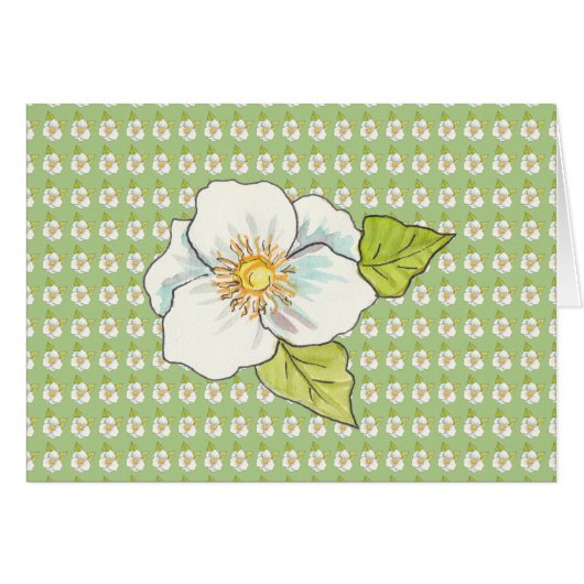 Witte bloem, blanco binnenin (Voorkant Horizontaal)