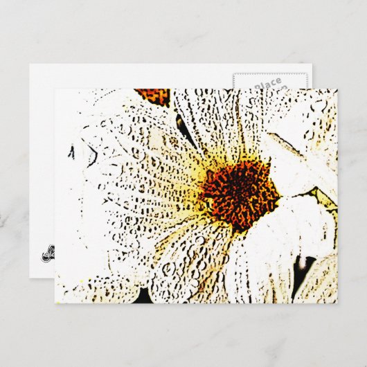 Witte bloem briefkaart (Voorkant / Achterkant)