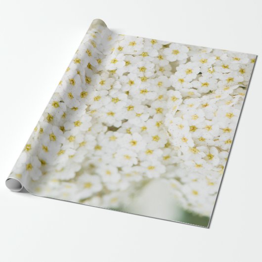 Witte bloem cadeaupapier (Uitgerold)