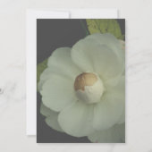 witte bloem foto bruiloft uitnodiging (Achterkant)