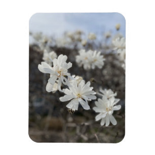 Witte bloem foto magneet