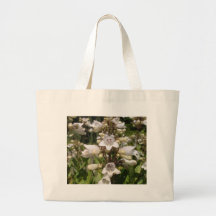 Witte Bloem