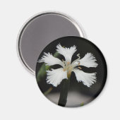 witte bloem magneet (Voorkant / Achterkant)