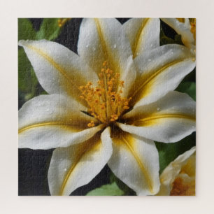 Witte bloem met gele accenten legpuzzel