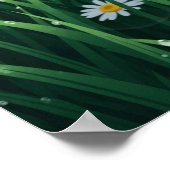 Witte bloem muur kunst poster (Hoek)