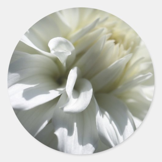 Witte Bloem Stickers (Voorkant)