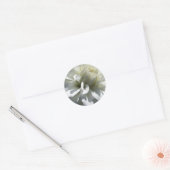 Witte Bloem Stickers (Envelop)