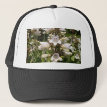 Witte Bloem