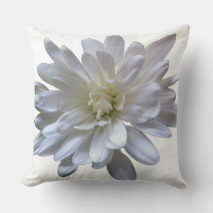 Witte bloem witte madelief witte chrysant witte bl kussen