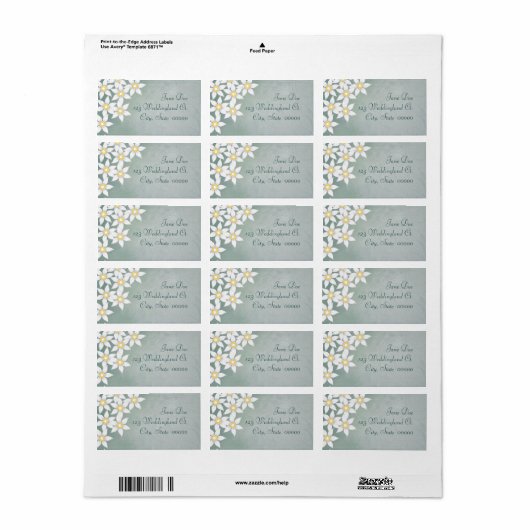 Witte Bloemen Bloemen Bloemen Bloemen Adresetikett Etiket (Full Sheet)