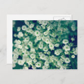 Witte bloemen briefkaart (Voorkant / Achterkant)