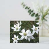 witte bloemen briefkaart (Staand voorkant)