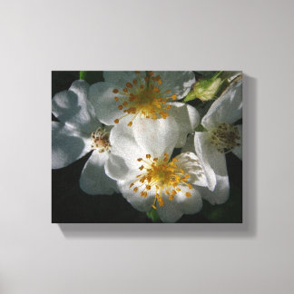 Witte bloemen canvas afdruk