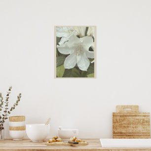 Witte Bloemen Foto Poster