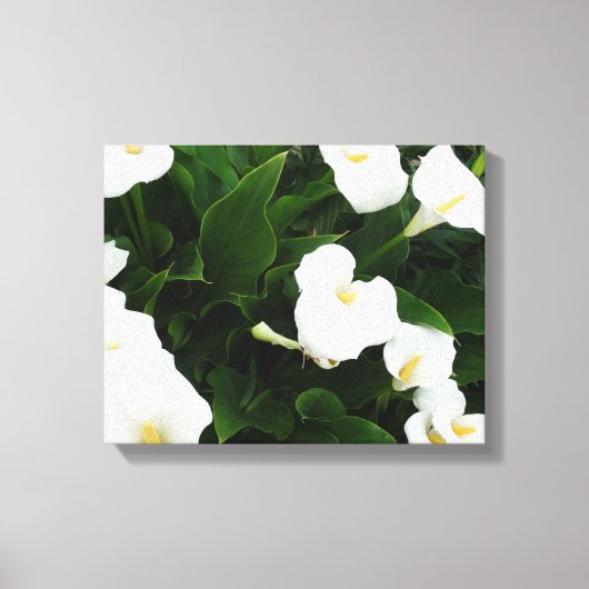 Witte Bloemen Fotoprint Canvas Afdruk (Voorkant)