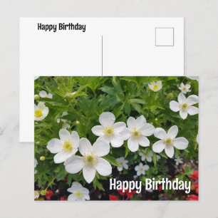 Witte bloemen Gefeliciteerd met je verjaardag. Ane Feestdagenkaart