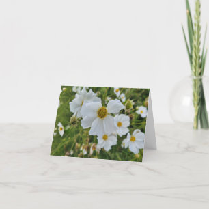 Witte Bloemen in de Tuin Feestdagen Kaart
