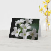 Witte Bloemen Kaart (Gele Bloem)