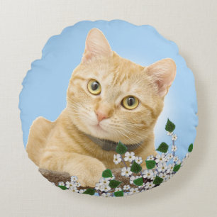 Witte bloemen & oranje tabbykat op lichtblauw rond kussen