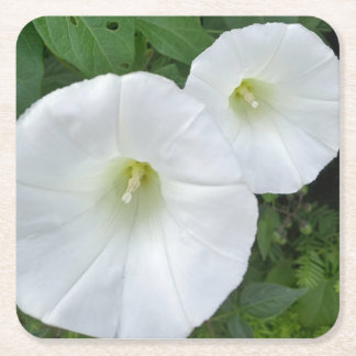 Witte Bloemen Papierverkoper Vierkante Kartonnen Onderzetter