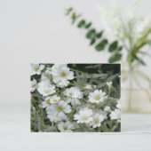 Witte bloemen uit de tuin briefkaart (Staand voorkant)