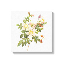 witte bloemen verpakt canvas print