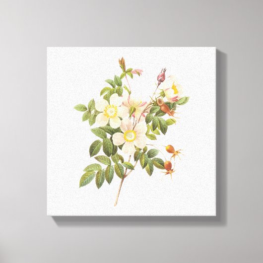  witte bloemen verpakt canvas print (Voorkant)