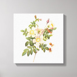  witte bloemen verpakt canvas print