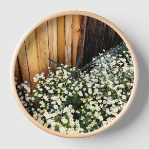 Witte bloemen & verweerde hek (houten rand)