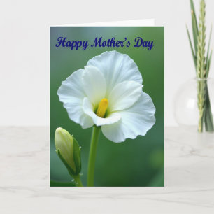 Witte Bloemkaart Met Stippen Kaart