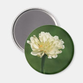 witte bloemmagneet magneet (Voorkant / Achterkant)