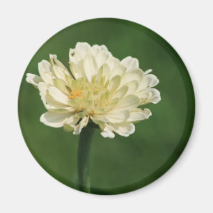 witte bloemmagneet magneet