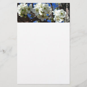 Witte bloesem Clusters Spring Flowering Pear Tree Briefpapier