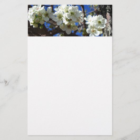 Witte bloesem Clusters Spring Flowering Pear Tree Briefpapier (Voorkant)