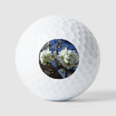 Witte bloesem Clusters Spring Flowering Pear Tree Golfballen (Voorkant)