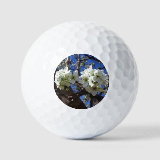 Witte bloesem Clusters Spring Flowering Pear Tree Golfballen (Voorkant)