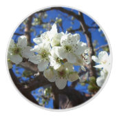 Witte bloesem Clusters Spring Flowering Pear Tree Keramische Knop (Voorkant)