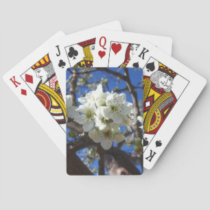 Witte bloesem Clusters Spring Flowering Pear Tree Speelkaarten
