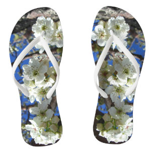 Witte bloesem Clusters Spring Flowering Pear Tree Teenslippers