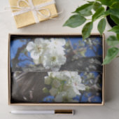 Witte bloesem Clusters Spring Flowering Pear Tree Tissuepapier (Geschenk)