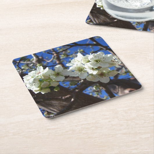 Witte bloesem Clusters Spring Flowering Pear Tree Vierkante Kartonnen Onderzetter (Schuin)