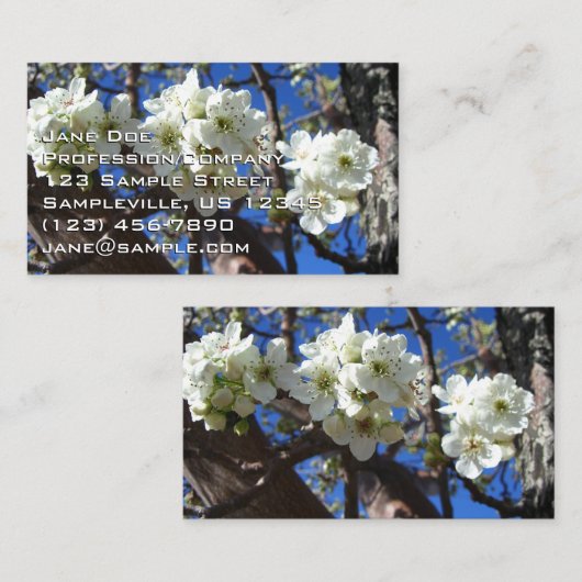 Witte bloesem Clusters Spring Flowering Pear Tree Visitekaartje (Voorkant / Achterkant)